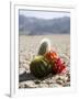 The Racetrack Point, Death Valley National Park, California, USA-Angelo Cavalli-Framed Photographic Print