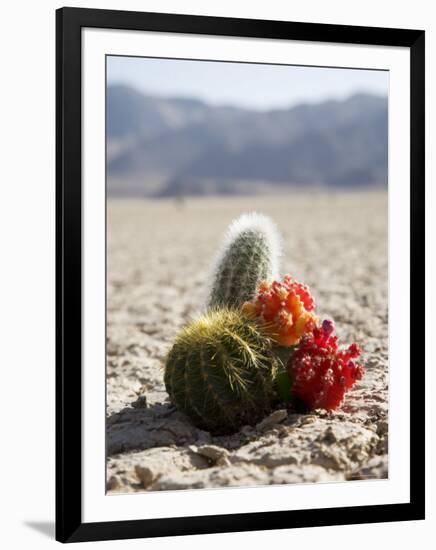 The Racetrack Point, Death Valley National Park, California, USA-Angelo Cavalli-Framed Photographic Print