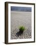 The Racetrack Point, Death Valley National Park, California, USA-Angelo Cavalli-Framed Photographic Print