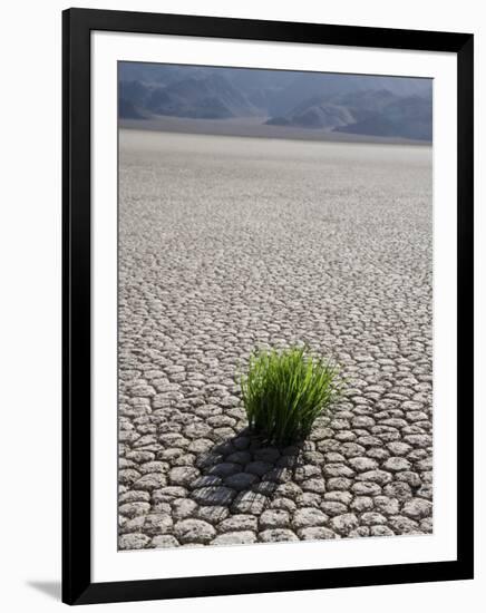 The Racetrack Point, Death Valley National Park, California, USA-Angelo Cavalli-Framed Photographic Print