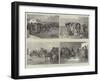 The Racing Season, Notes at Newmarket-null-Framed Giclee Print