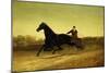 The Racing Sulky-Nicholas Winfield Leighton-Mounted Giclee Print