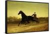 The Racing Sulky-Nicholas Winfield Leighton-Framed Stretched Canvas
