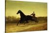 The Racing Sulky-Nicholas Winfield Leighton-Stretched Canvas