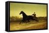 The Racing Sulky-Nicholas Winfield Leighton-Framed Stretched Canvas