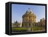 The Radcliffe Camera, Oxford, Oxfordshire, England, Uk-Neale Clarke-Framed Stretched Canvas