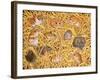 The Raiders of the Ark, 1995-Ditz-Framed Giclee Print