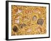 The Raiders of the Ark, 1995-Ditz-Framed Giclee Print