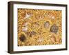 The Raiders of the Ark, 1995-Ditz-Framed Giclee Print