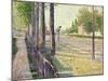 The Railway Junction at Bois-Colombes, or La Route Pontoise, 1886-Paul Signac-Mounted Giclee Print
