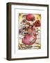 The Rain Angel-David Galchutt-Framed Giclee Print