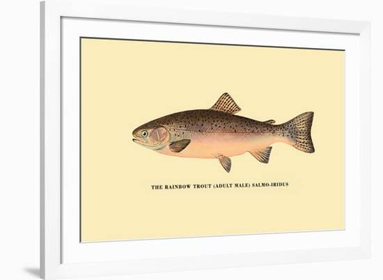 The Rainbow Trout-H.h. Leonard-Framed Premium Giclee Print