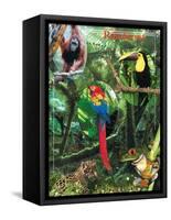 The Rainforest-Encyclopaedia Britannica-Framed Stretched Canvas