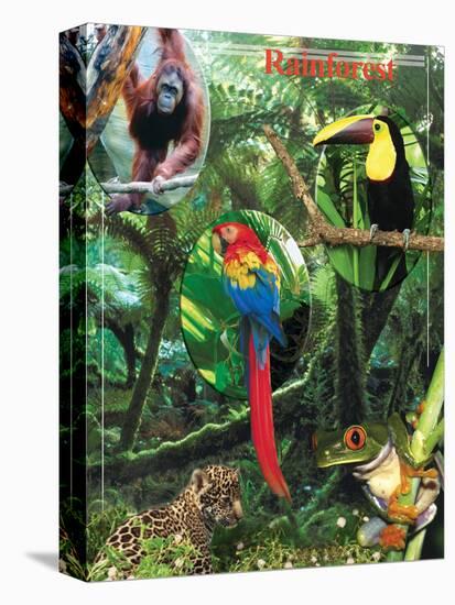 The Rainforest-Encyclopaedia Britannica-Stretched Canvas