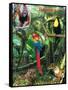 The Rainforest-Encyclopaedia Britannica-Framed Stretched Canvas