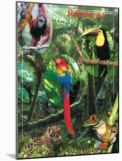 The Rainforest-Encyclopaedia Britannica-Mounted Art Print