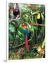 The Rainforest-Encyclopaedia Britannica-Framed Art Print