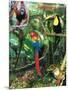 The Rainforest-Encyclopaedia Britannica-Mounted Art Print