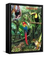 The Rainforest-Encyclopaedia Britannica-Framed Stretched Canvas