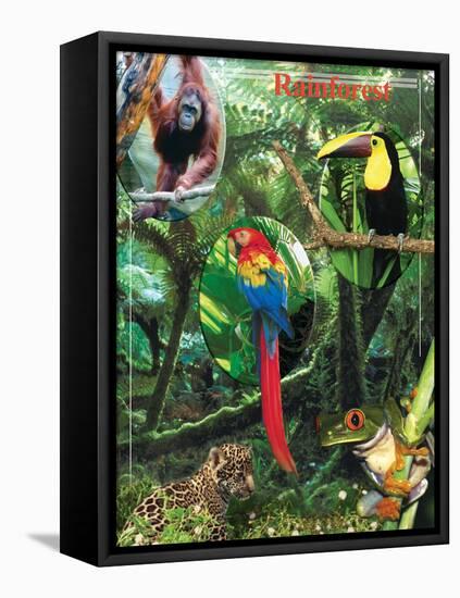 The Rainforest-Encyclopaedia Britannica-Framed Stretched Canvas