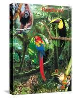 The Rainforest-Encyclopaedia Britannica-Stretched Canvas