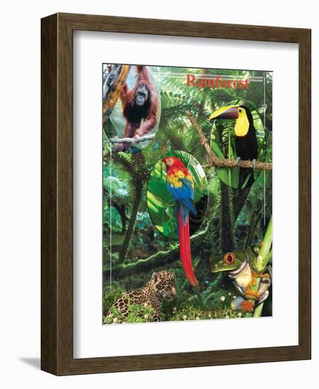 The Rainforest-Encyclopaedia Britannica-Framed Art Print