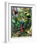 The Rainforest-Encyclopaedia Britannica-Framed Art Print