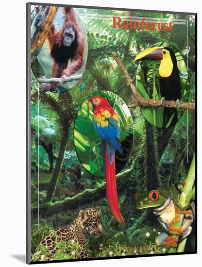 The Rainforest-Encyclopaedia Britannica-Mounted Art Print