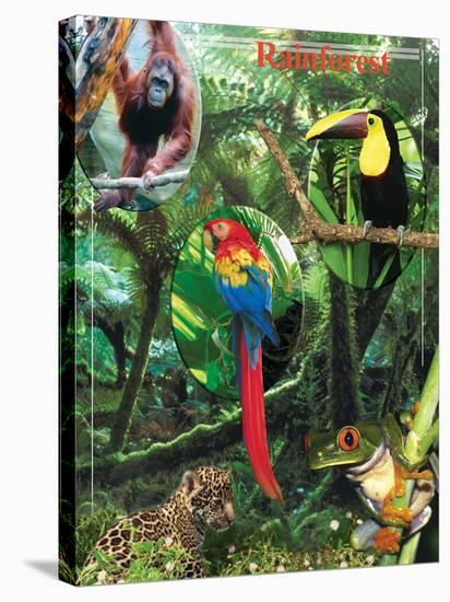 The Rainforest-Encyclopaedia Britannica-Stretched Canvas