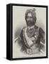 The Rajah of Kapoorthalla, Knight of the Order of the Star of India-null-Framed Stretched Canvas