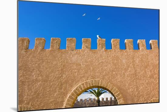 The Ramparts of the Old City, Essaouira, Morocco-Nico Tondini-Mounted Photographic Print