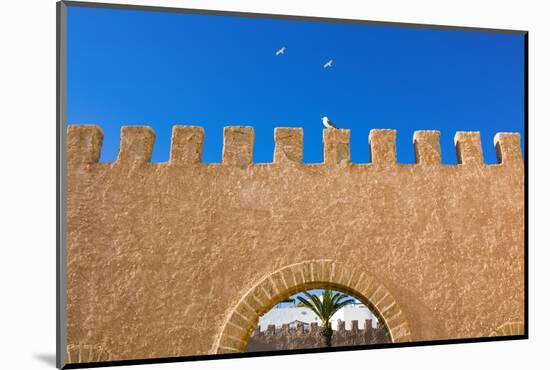 The Ramparts of the Old City, Essaouira, Morocco-Nico Tondini-Mounted Photographic Print