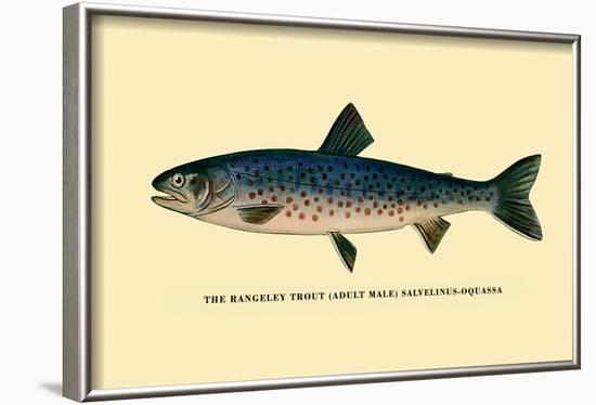 The Rangeley Trout-H.h. Leonard-Framed Art Print