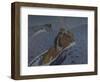 The Rape of Europa-Valentin Alexandrovich Serov-Framed Giclee Print