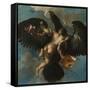 The Rape of Ganymede, Ca. 1575-Damiano Mazza-Framed Stretched Canvas