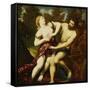 The Rape of Proserpine-Paris Bordone-Framed Stretched Canvas