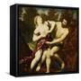 The Rape of Proserpine-Paris Bordone-Framed Stretched Canvas