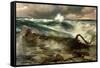 The Rapids Above Niagara-Thomas Moran-Framed Stretched Canvas