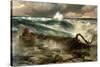 The Rapids Above Niagara-Thomas Moran-Stretched Canvas