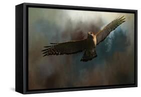 The Raptors Arrival-Jai Johnson-Framed Stretched Canvas