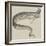 The Rare Fish (Regalecus Glesne), at the Cosmorama-null-Framed Giclee Print