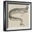 The Rare Fish (Regalecus Glesne), at the Cosmorama-null-Framed Giclee Print