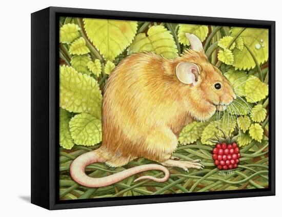 The Raspberry-Mouse-Ditz-Framed Stretched Canvas