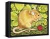 The Raspberry-Mouse-Ditz-Framed Stretched Canvas