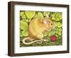 The Raspberry-Mouse-Ditz-Framed Giclee Print