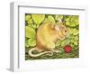 The Raspberry-Mouse-Ditz-Framed Giclee Print