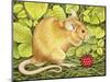 The Raspberry-Mouse-Ditz-Mounted Premium Giclee Print