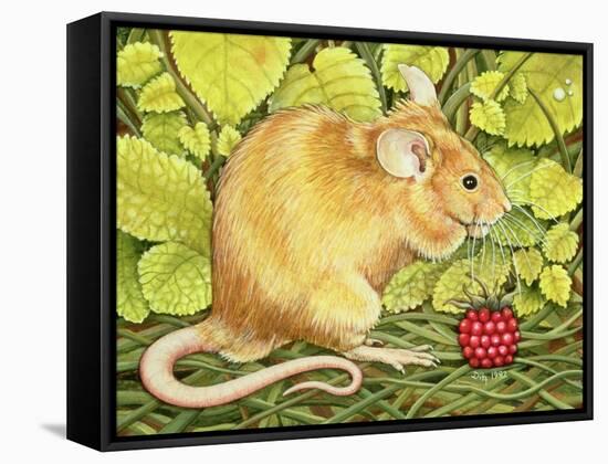 The Raspberry-Mouse-Ditz-Framed Stretched Canvas