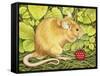 The Raspberry-Mouse-Ditz-Framed Stretched Canvas