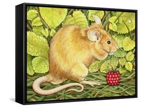 The Raspberry-Mouse-Ditz-Framed Stretched Canvas